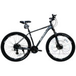 Blast Avangtard Size 29 H.Disc-SHimano