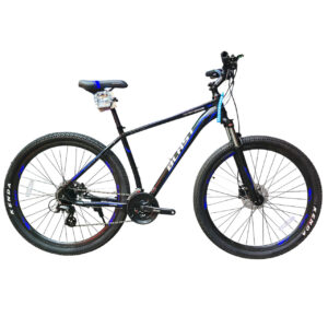 Blast Avantgard Size 29 Disc