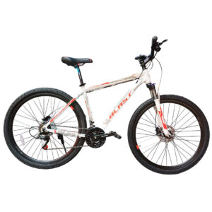 Blast Formula Size 29 - 2025 Bike Series