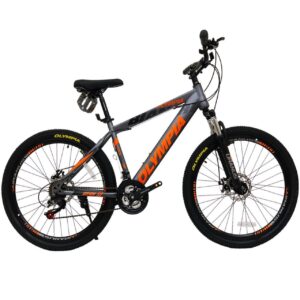 دوچرخه کوهستان المپیا Olympia مدل بیانچی Bianchi سایز 26