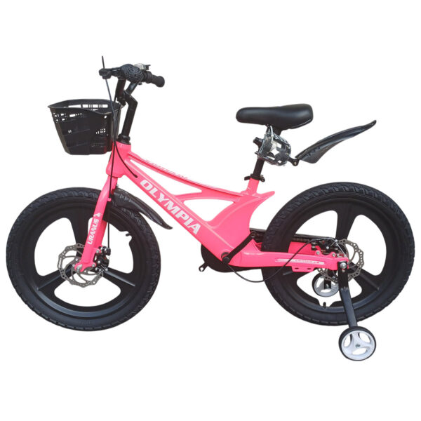 Olympia Pro Bike 20