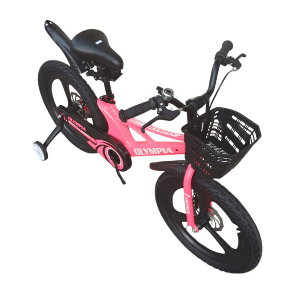 Olympia Pro Bike 20