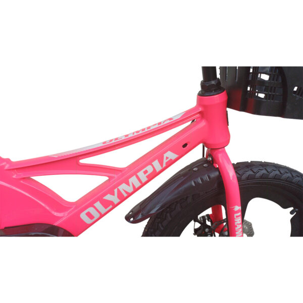 Olympia Pro Bike 20