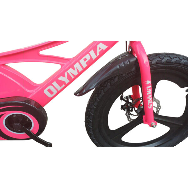 Olympia Pro Bike 20