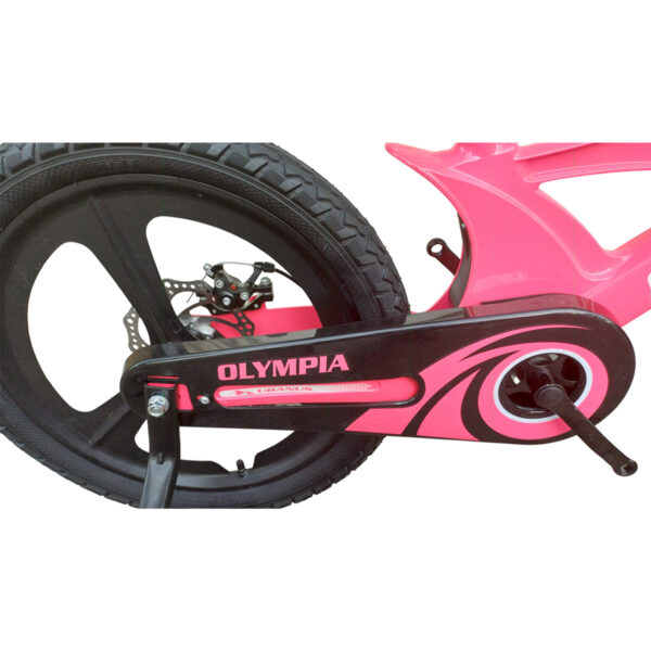Olympia Pro Bike 20