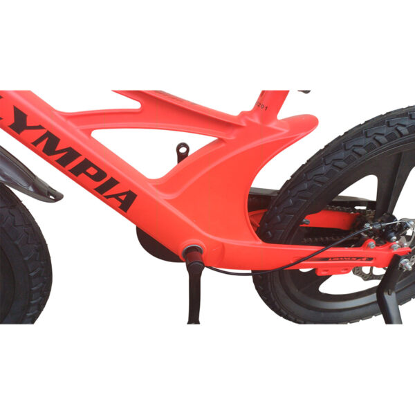 Olympia Pro Bike 20
