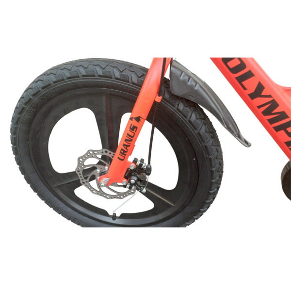 Olympia Pro Bike 20
