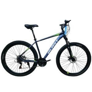 Blast Morgan Size 29 Disc