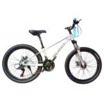 Blast Imperial Size 24 Disc