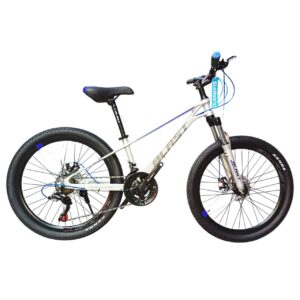 Blast Imperial Size 24 Disc