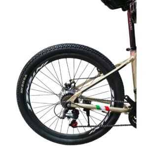 دوچرخه کوهستان اینتنس Intense مدل Champion CD200 سایز 26