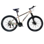 دوچرخه کوهستان اینتنس سایز26 دیسکی