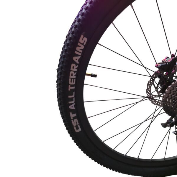 Rapido Elite Size 29 Disc