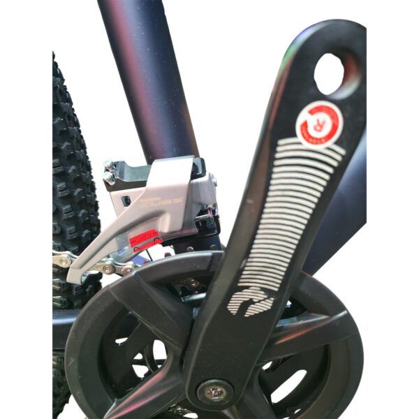 Rapido Elite Size 29 Disc