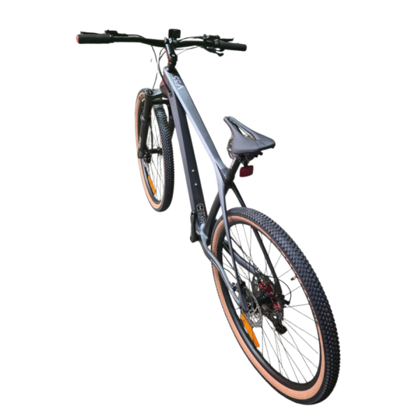 Trinx Pro PLUS V35 Size 29