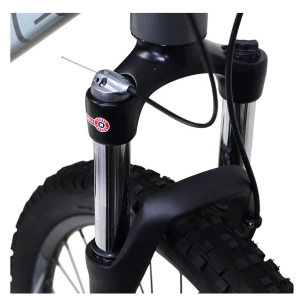 GITANE KOBALT 900 2025 SIZE 29