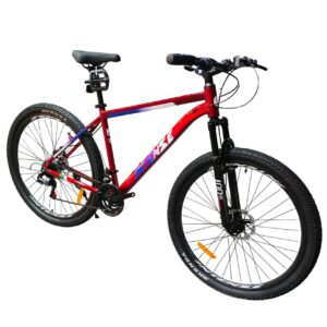 دوچرخه کوهستان اینتنس Intense مدل Champion CD200 سایز 29