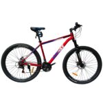 INTENSE CD 200 SIZE 29 Disc