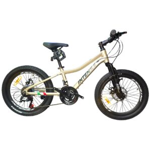 دوچرخه کوهستان اینتنس Intense مدل Champion CD400 سایز 20