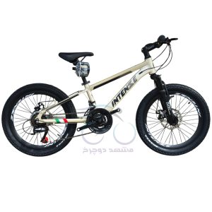 دوچرخه کوهستان اینتنس مدل CD200 سایز 20 دیسکی