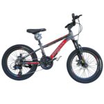 Jordan Chinner Size 20 Disc 2025 Series Grey Red