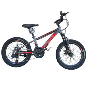 Jordan Chinner Size 20 Disc 2025 Series Grey Red