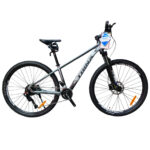 Trinx M700 Size 29 Disc