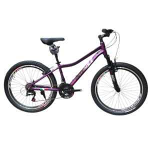 Intense CV300 Size 24 DISC