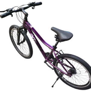 دوچرخه کوهستان اینتنس Intense مدل Champion CV300 سایز 24