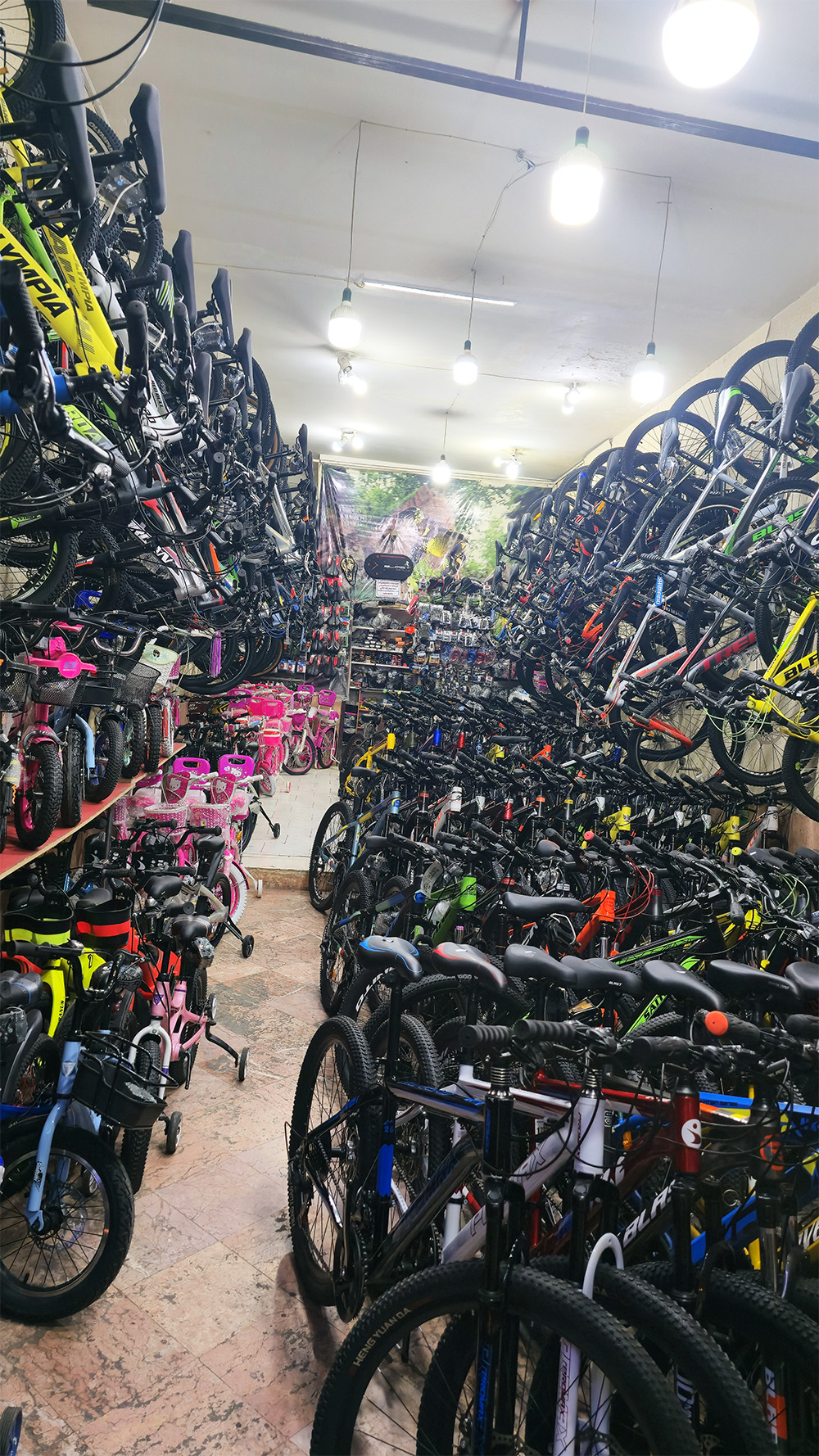 فروشگاه مشهد دوچرخ