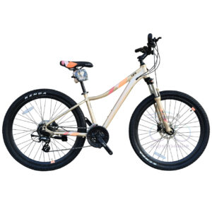 Blast Life Size 27.5 Gold