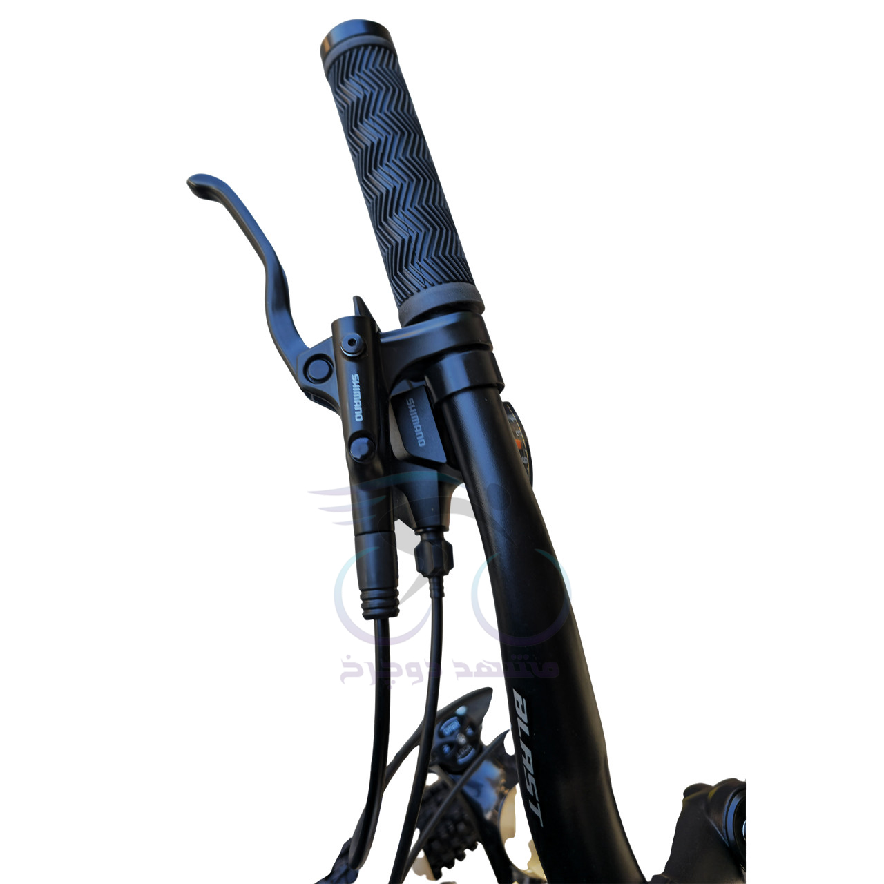 Blast Life Size 27.5 Gold