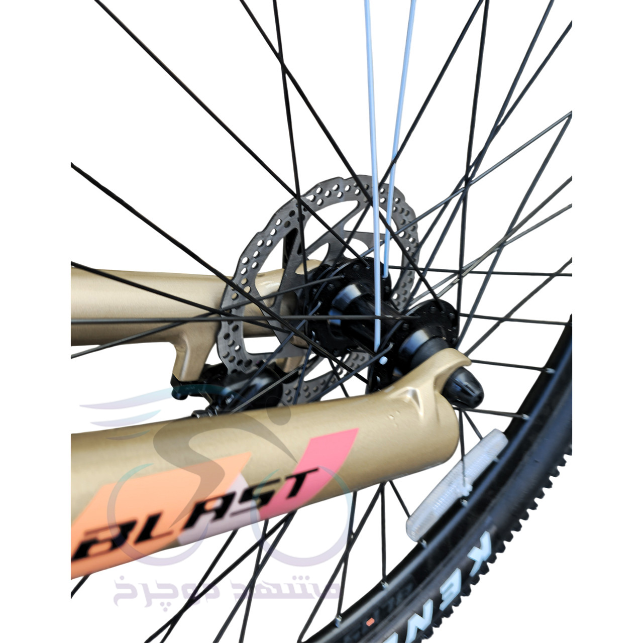 Blast Life Size 27.5 Gold