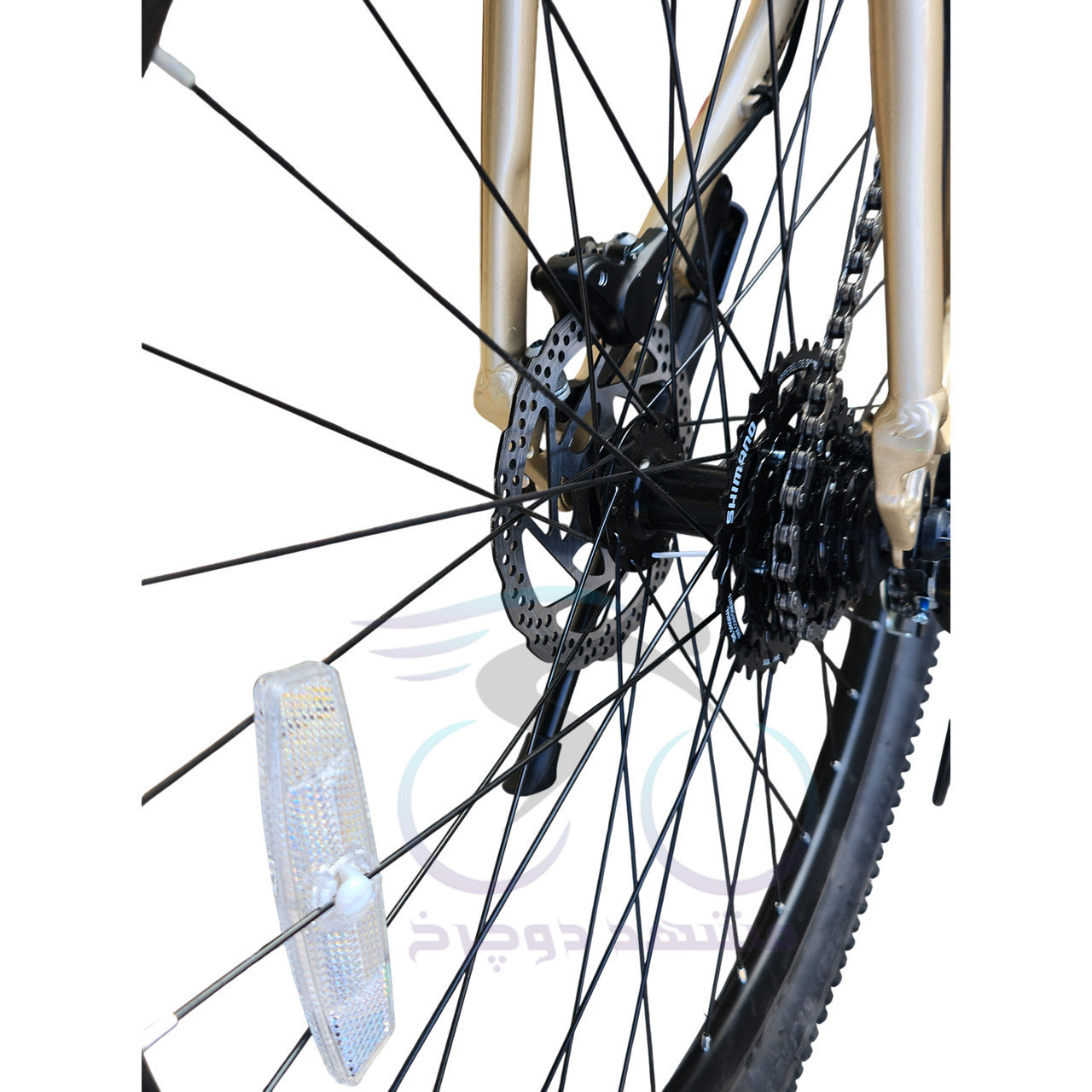 Blast Life Size 27.5 Gold