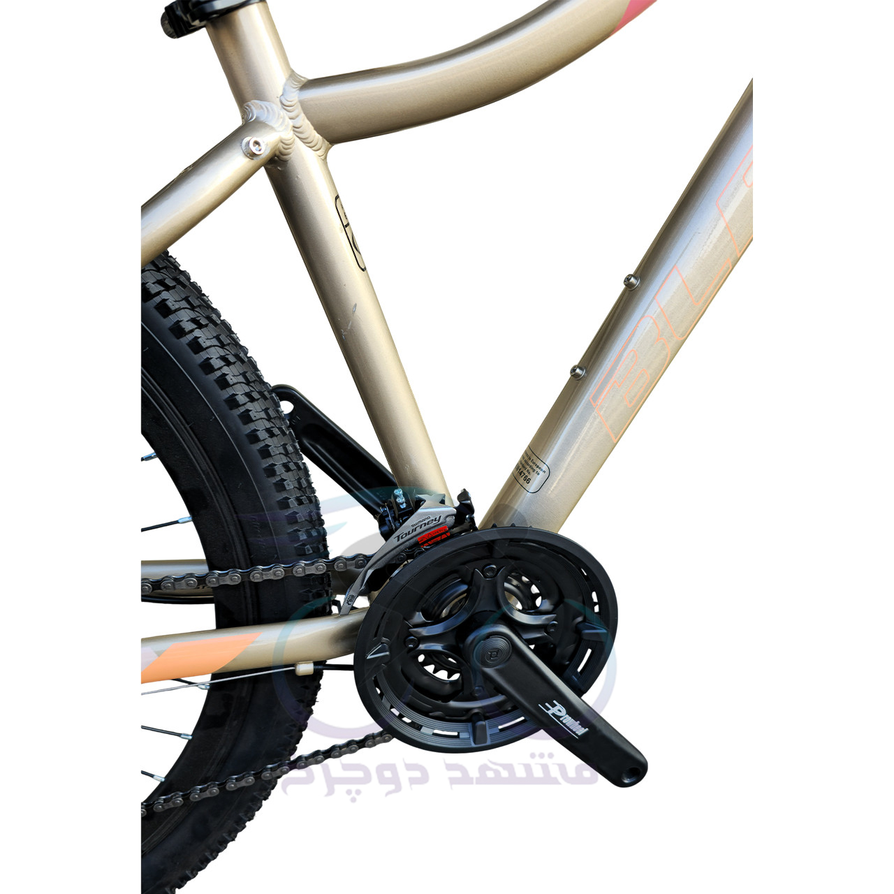 Blast Life Size 27.5 Gold