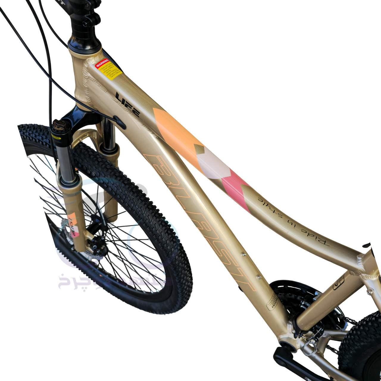 Blast Life Size 27.5 Gold