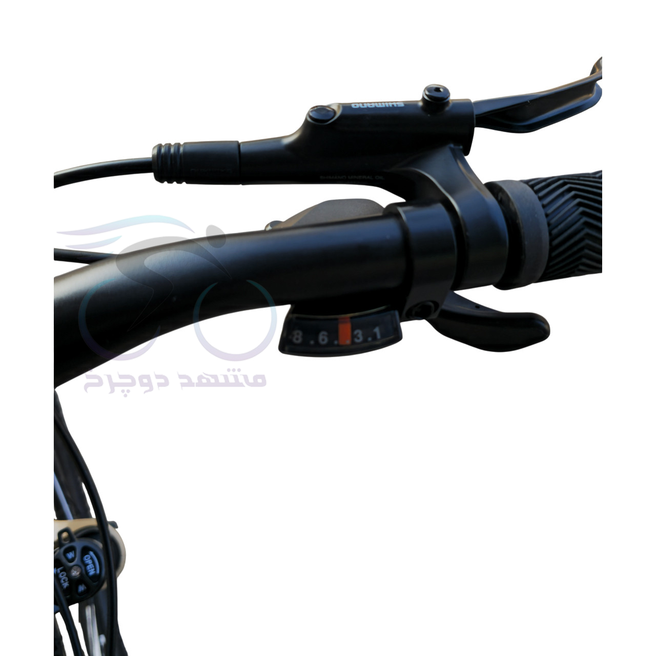 Blast Life Size 27.5 Gold