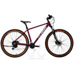 Flash Race Size 29 H.Disc