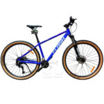Flash Race Size 29 H.Disc Shimano Cues