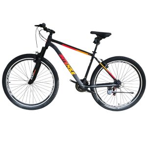 دوچرخه کوهستان اینتنس Intense مدل Champion CV100 سایز 29 ویبریک