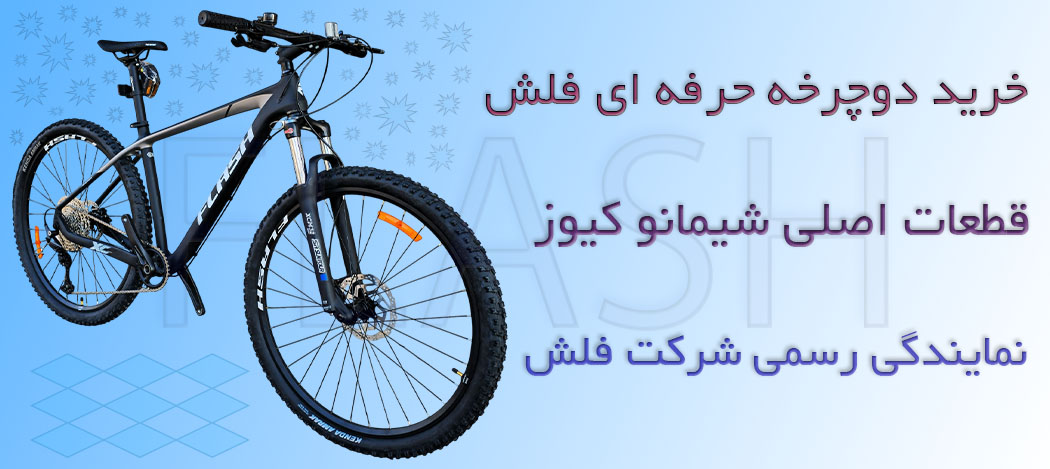 دوچرخه حرفه ای فلش